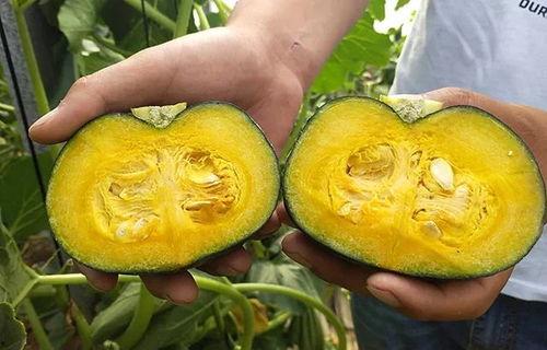 网红大瓜博雅吃瓜视频最全观看 最近比较劲爆的大瓜