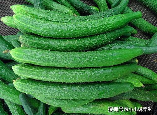 黄瓜c 朝阳吃瓜群众一枚,夏日消暑佳品，吃瓜群众的心头好