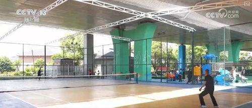 体育圈的天花板,巅峰时刻的辉煌与挑战