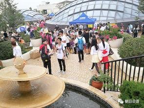 朝阳吃瓜群众一枚 热点事件黑网爆料入口,黑网爆料入口背后的热点事件风云