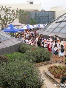 朝阳吃瓜群众一枚 热点事件黑网爆料入口,黑网爆料入口背后的热点事件风云